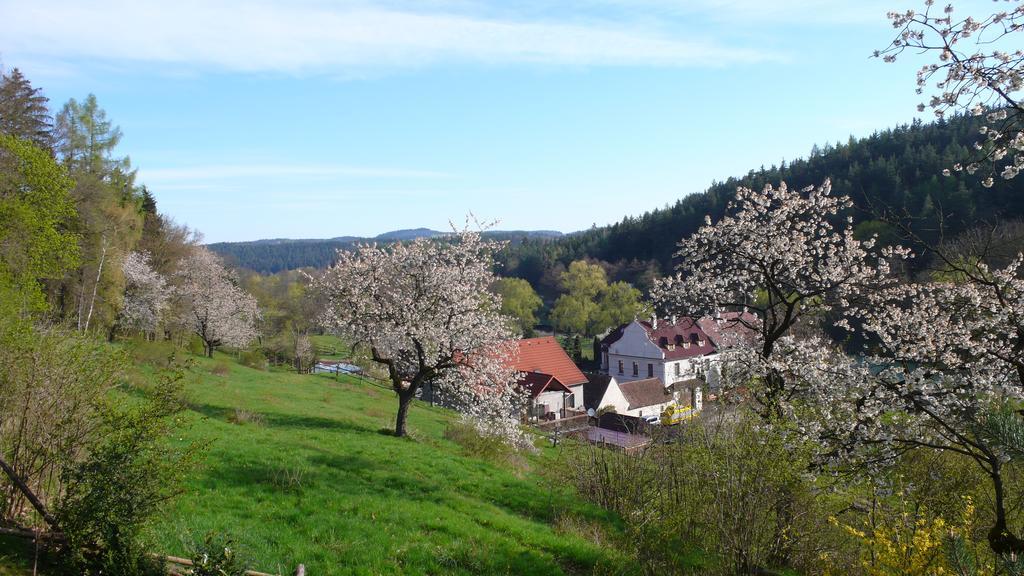 Penzion Padrtuv Mlyn Třebíč المظهر الخارجي الصورة